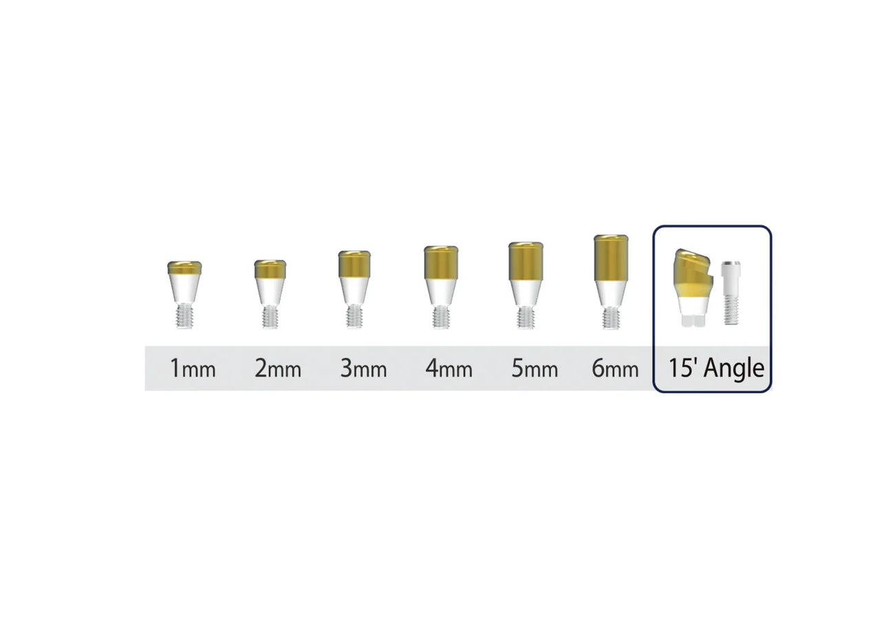 Straight and Angeled Abutment